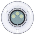OceanLED Discover Series D3 Underwater Light  Midnight Blue D3009B